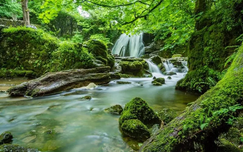 环保高端